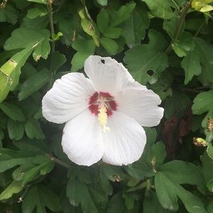 Meet your Posher, Adrianna